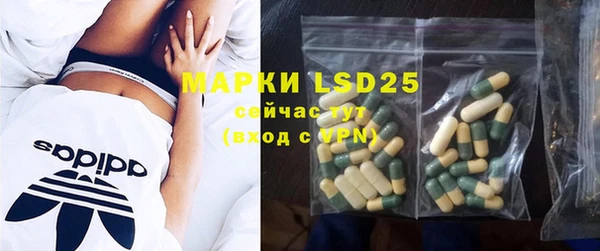 PSILOCYBIN Гатчина