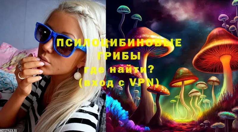 OMG как войти  Большой Камень  Псилоцибиновые грибы Psilocybine cubensis 