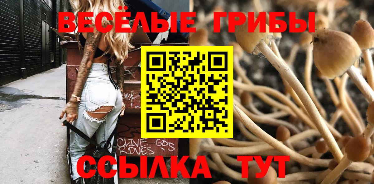 Галлюциногенные грибы прущие грибы Большой Камень